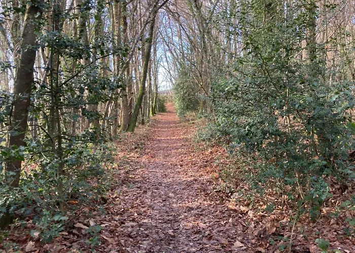 Le Dauphin Saint-Pierre-des-Nids